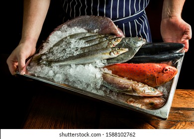 A chef holds a tray full of raw fresh fish chilling on a bed of ice. The Australia and New Zealand seafood species include, coral trout, new zealand flounder, king george whiting and pink snapper.