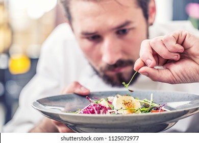 Chef in hotel or restaurant kitchen preparing meal vegetable salad with goat cheese and decorates the food with her hands. - Shutterstock ID 1125072977
