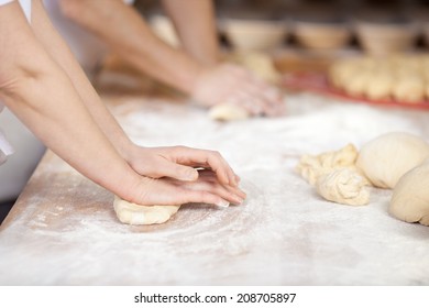 Chef Kneading Dough At Bakery Kitchen Counter