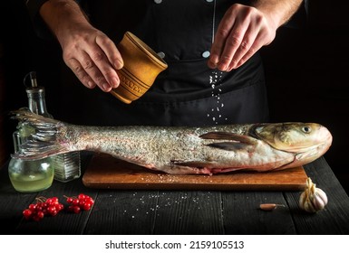 11,247 Silver Carp Stock Photos, Images & Photography 