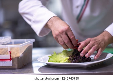 Chef Serving Vegetable Salad On Plate Stock Photo 1248943930 | Shutterstock