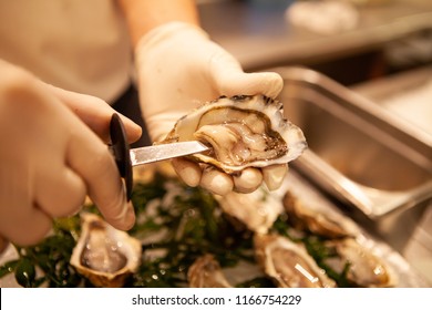 Chef Shuck Fresh Oysters With Knife. Raw Oysters Are Packed With Nutrition, High In Calcium, Potassium, Magnesium, Vitamin And Mineral. Flavor Are Sweet And Refreshing. Believed To Be An Aphrodisiac.