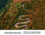 Cheia road Brasov. Aerial view of a serpent mountains road Romania, in the heart of Transylvania