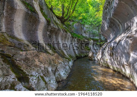 Cheile Banitei, Banita gorge near Petrosani city, Hunedoara county, Romania Zdjęcia stock © 