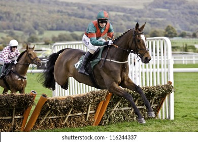 CHELTENHAM GLOUCS OCT 20 2012 Daryl Jacobs Takes Brass Tax Over Hurdles At
