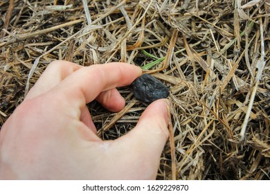 Chelyabinsk Meteor Meteorite In Hand