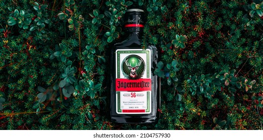 Chelyabinsk, Russia - July 30, 2021: Jagermeister. A bottle of Jagermeister on the lingonberry bushes. Bottle of Jagermeister, German digestif made with 56 herbs. Jagermeister herb liqueur bottle. 