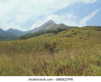 Chembra Peak In Wayanad District Of Kerala Landscape View