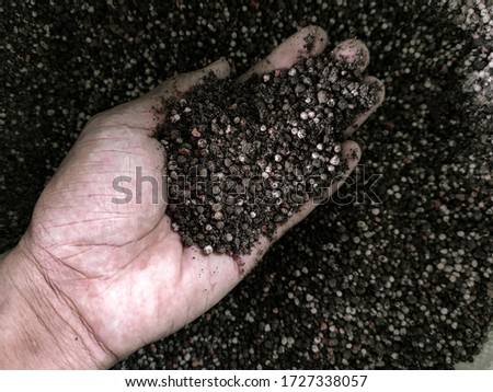 Chemical fertilizer on the palm.