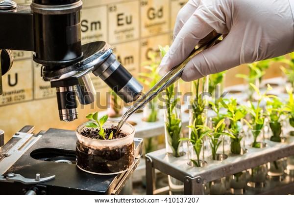 Chemical laboratory exploring new methods of\
plant breeding