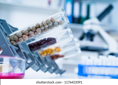 Chemical Laboratory Of The Food Supply . Food In Laboratory, Dna Modify .