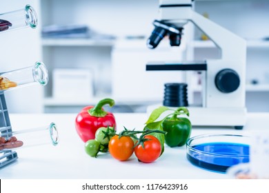 Chemical Laboratory Of The Food Supply . Food In Laboratory, Dna Modify .GMO Genetically Modified Food In Lab 