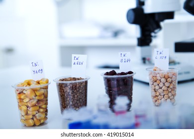 Chemical Laboratory Of The Food Supply . Food In Laboratory, Dna Modify . Toning Image.