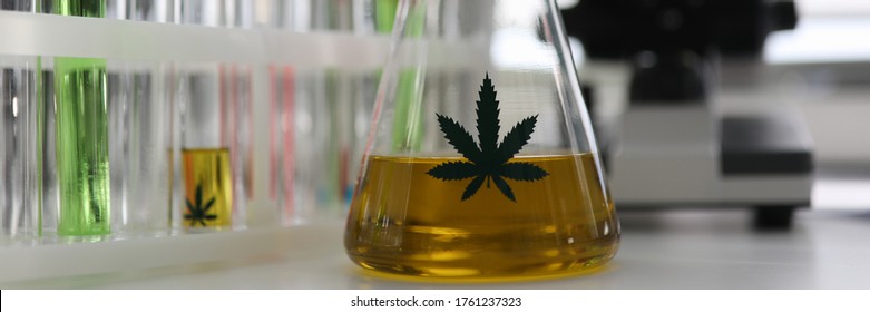 In chemical laboratory on table is flask hemp oil. Cannabis oil extraction in laboratory. Medical hemp. Cannabis analysis in laboratory. Hemp innovations to solve environmental problems