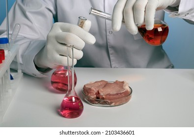 Chemist prepares liquid in glass flasks for GMO meat culture. Artificial meat is growing inside petri dish. Scientist inspects synthetic meat substance. Victimless technology to produce pork and beef - Powered by Shutterstock