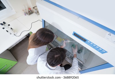 chemist using the machine in the laboratory