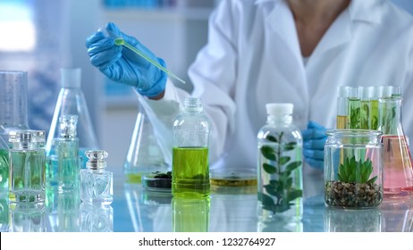 Chemistry Scientist Analyzing Liquid Mixture, Herbal Extract For Perfumes