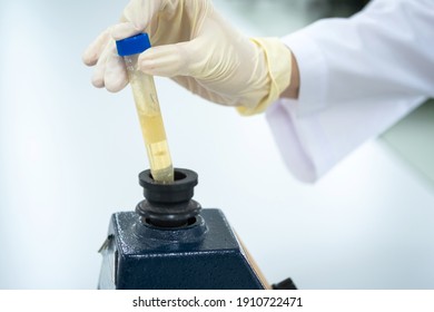 Chemistry or scientist mix the solution of the plastic test tube by press the tube on the rubber cup of vortex machine in the laboratory . Selective focus. Research and pharmaceutical lab concept.