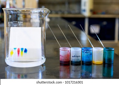 Chemistry of thin layer chromatography with plate, solvent and samples.
