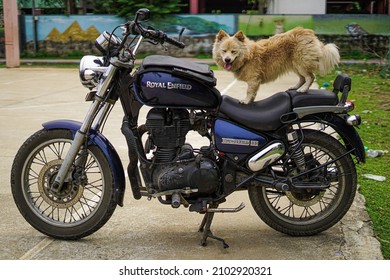 CHEN, INDIA - Dec 08, 2021: A Dog Standing On A Royal Enfield Bike