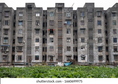 CHENGDU, CHINA - JAN 26, 2020: Old Local Housing In Disrepair With Green Vegetables In The Foreground. One Of The Slums In The City.