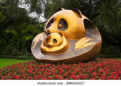 694 Chengdu Research Base Of Giant Panda Breeding Images Stock Photos 694 Chengdu Research Base Of Giant Panda Breeding Images Stock Photos