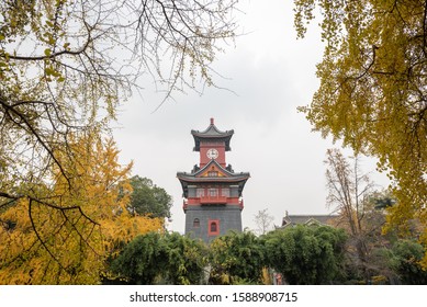 Chengdu Sichuan Huaxi University Campus Clock Tower In Autumn With Gingko Yellow Leaves In The Trees, Sichuan Province, China