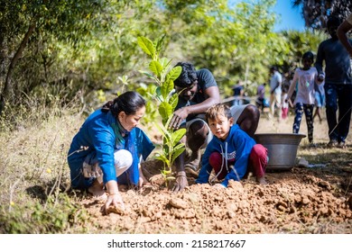 Chennai, India - April 20 2022: Asian People Planting Trees In Forest Area. Group.