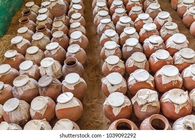 Chennai India Feb 17 2018 Poisonous Snakes Cobra, Russel Viper, Sawscaled Viper Are Placed Inside Ceramic Pots Extracting Antivenom Used For Medicinal Purpose.