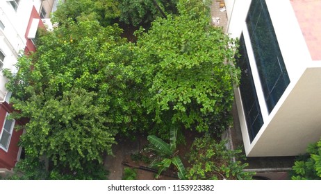 Chennai Rain , From Building Top View