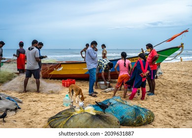 Chennai, Tamil Nadu, India - September 5, 2021: A Group Of Unknown People Buying Fresh Fish From A Street Vendor On Edward Elliot's Beach.