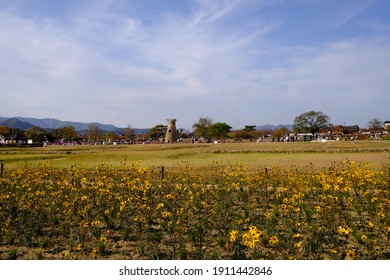 Cheomseongdae, Which You Can See Beyond The Flowers