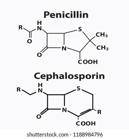 Chephalosporin And Penicillin Structure