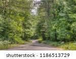 Chequamegon-Nicolet National Forest in Northern Wisconsin