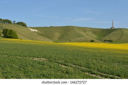 Cherhill Wiltshire With Obelisk And White Chalk Horse