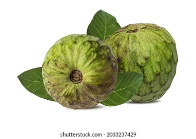 Cherimoya Fruit On White Background