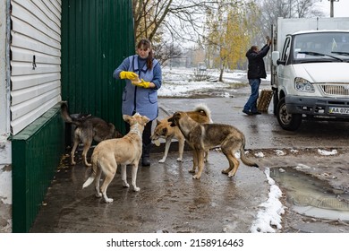 Chernobyl, Ukraine, October 27 2016: A Woman Feeding Stray Dogs Outside Of A Grocery Store In Chernobyl Town