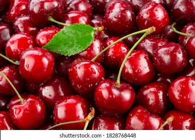 Cherries. Cherry background. Fruit background. Wet cherry with leaves and drops. - Shutterstock ID 1828768448