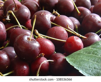 Cherries closeup