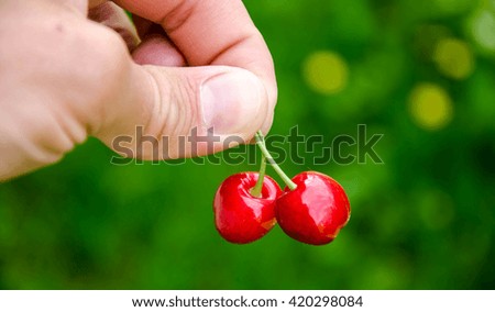 Similar – Image, Stock Photo Red Currants Food Fruit