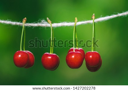 Similar – Image, Stock Photo Cherries in a double pack