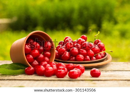 Similar – Image, Stock Photo Ripe red currant berries