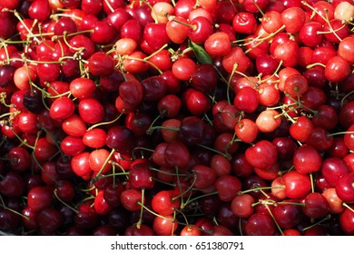 Cherries from the orchard.