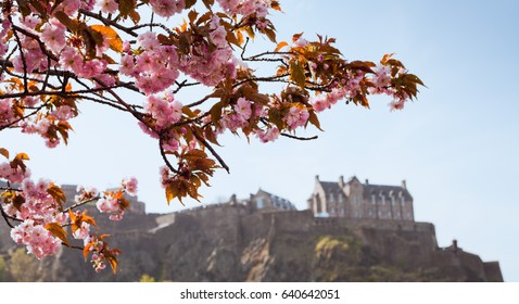 The Meadows Edinburgh Images Stock Photos Vectors Shutterstock