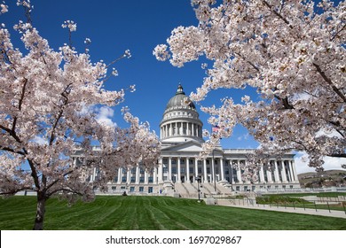 Cherry Blossom In Full Bloom At Utah State Capitol Building In Salt Lake City In Spring Of 2019.