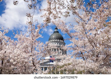 Cherry Blossom In Full Bloom At Utah State Capitol Building In Salt Lake City In Spring Of 2019.