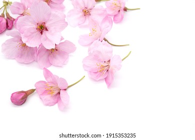花 の画像 写真素材 ベクター画像 Shutterstock