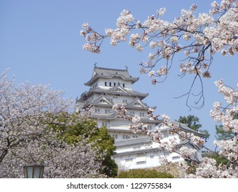 Cherry Blossom Japanese Castle Background Stock Photo 1229755834 ...