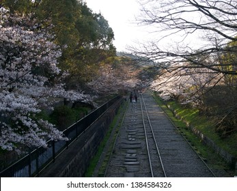 Cherry blossom in Keage Inkline / Keage,Kyoto