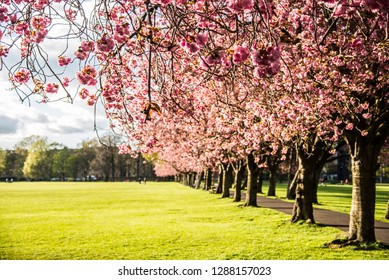 Meadows Edinburgh Stock Photos Images Photography Shutterstock